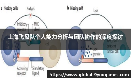 九游会j9官方网站