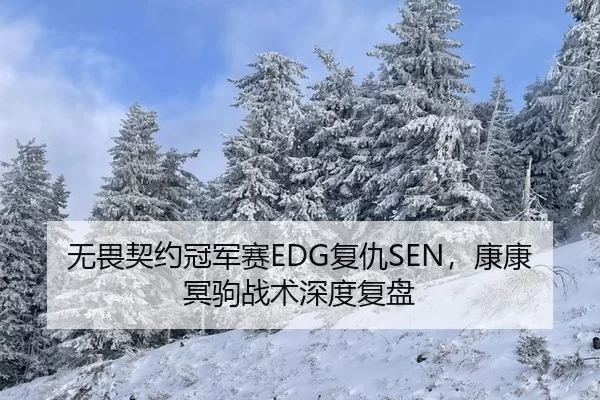 无畏契约冠军赛EDG复仇SEN，康康冥驹战术深度复盘
