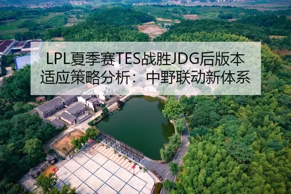 LPL夏季赛TES战胜JDG后版本适应策略分析：中野联动新体系